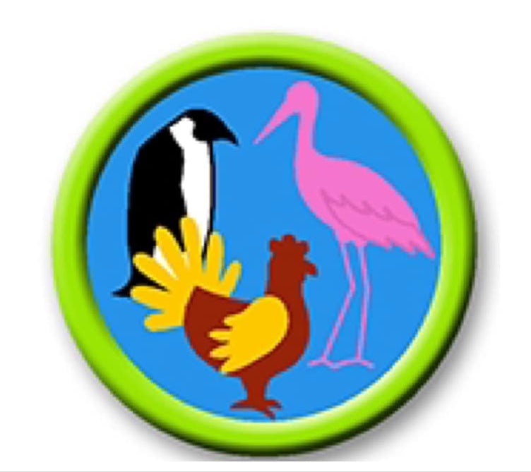 Birds