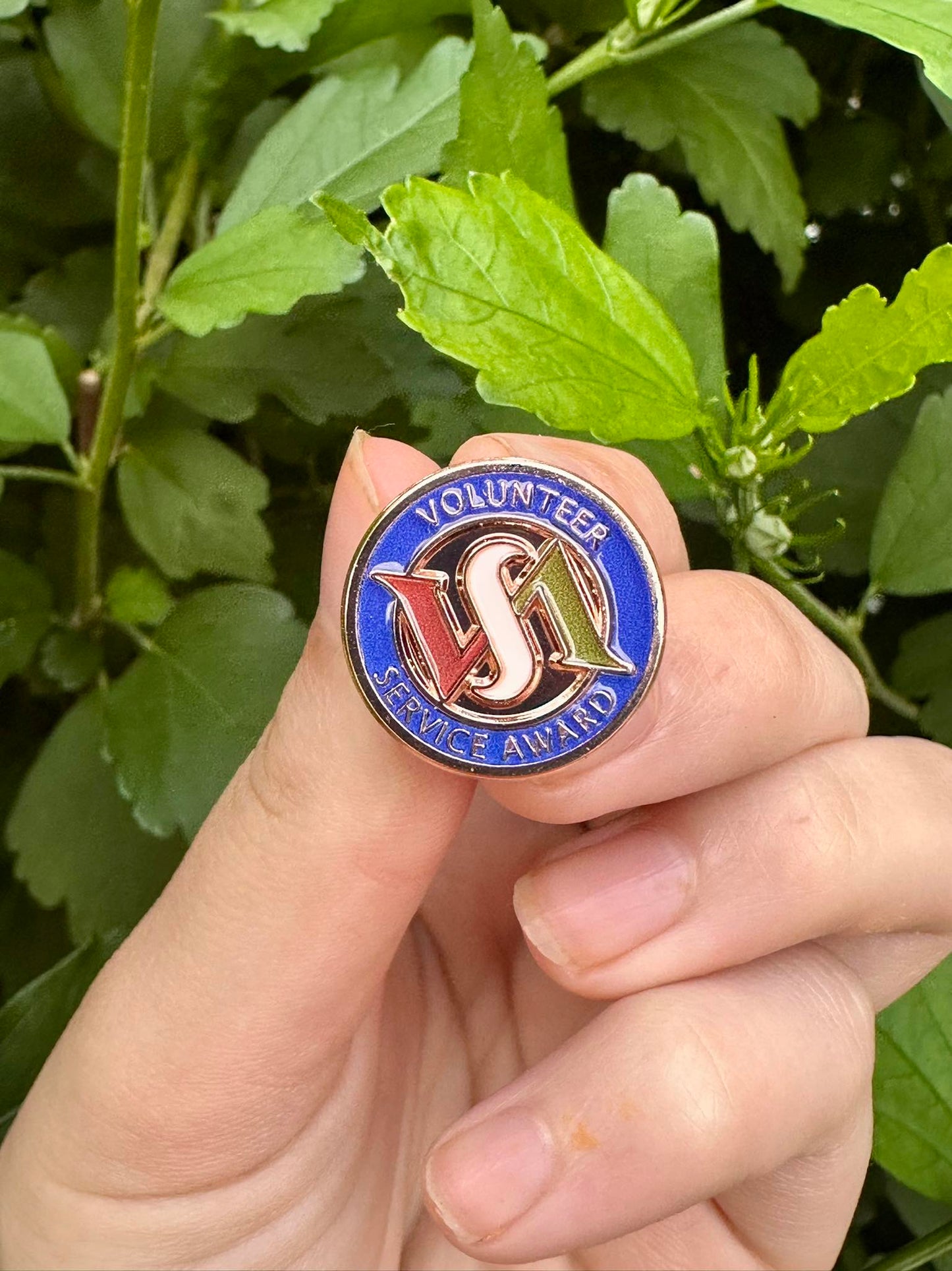 Volunteer Service Award Pin