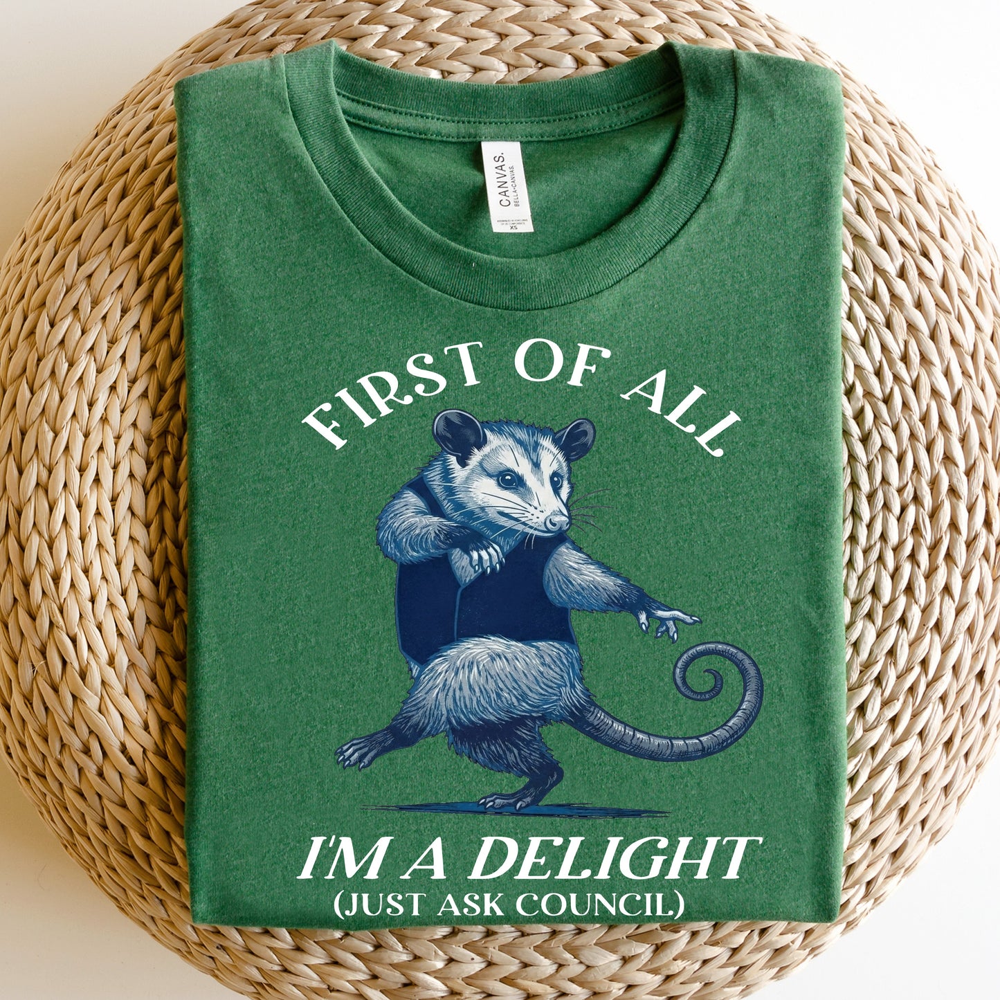 Delightful Opossum DTF Print