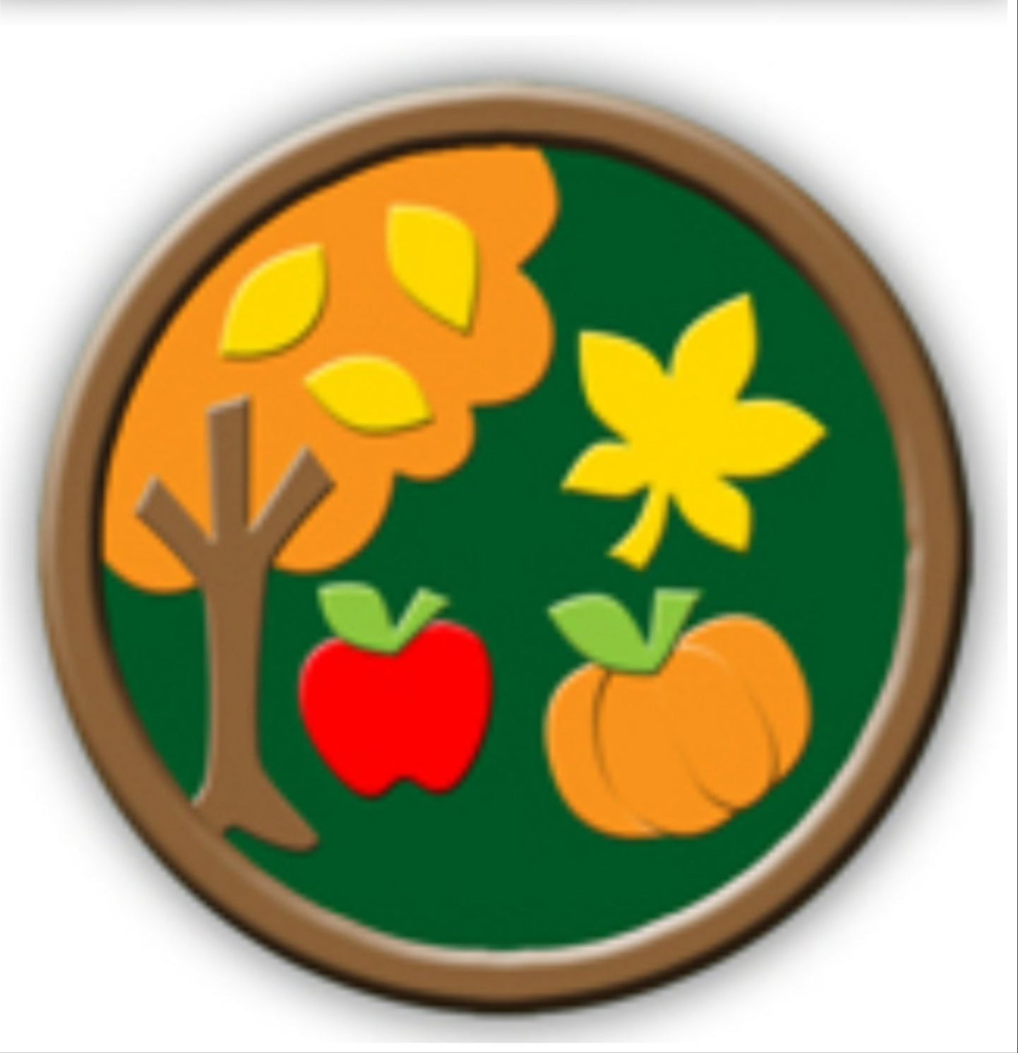 Fall Fun