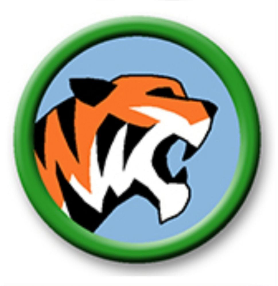 Big Cats