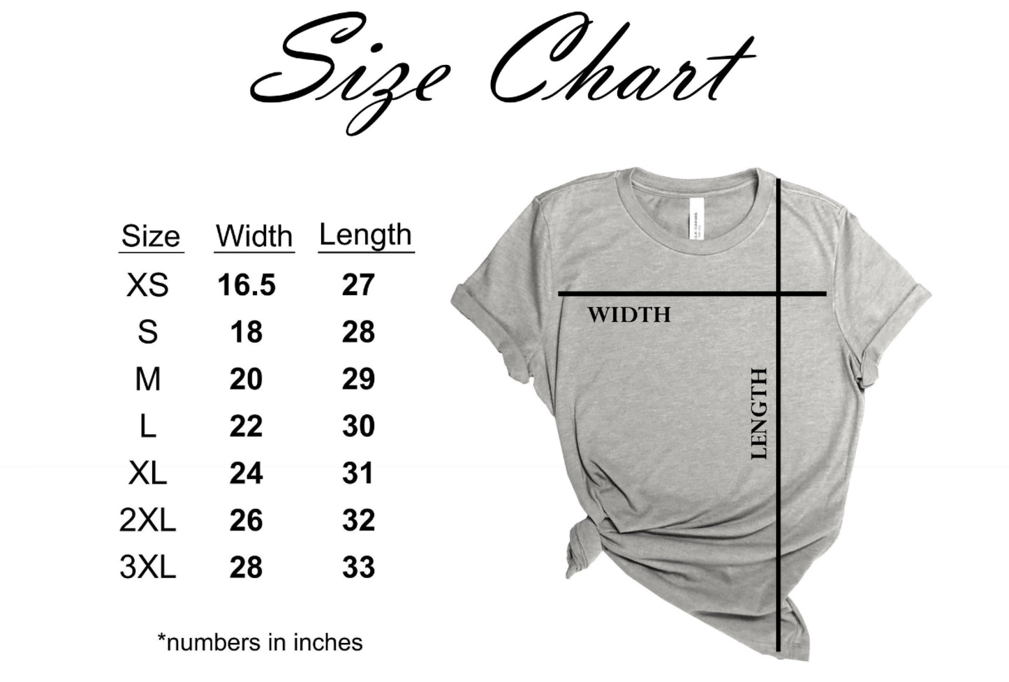 By His Wounds We Are Healed Isaiah 53:3 Shirt