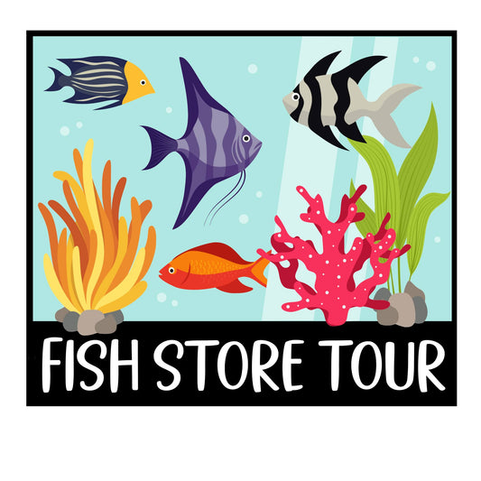 Fish Store Tour