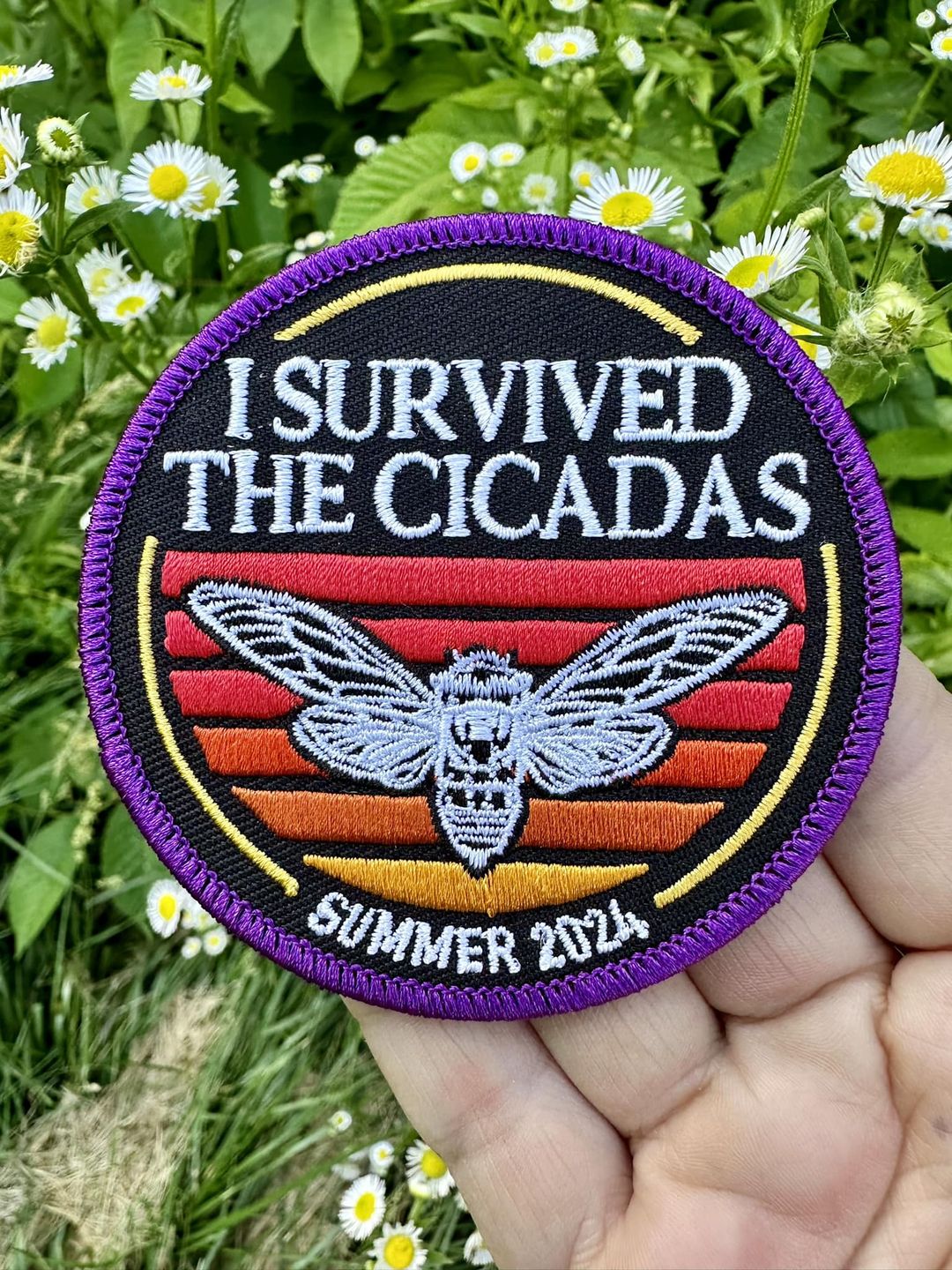 I Survived The Cicadas