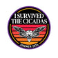 I Survived The Cicadas