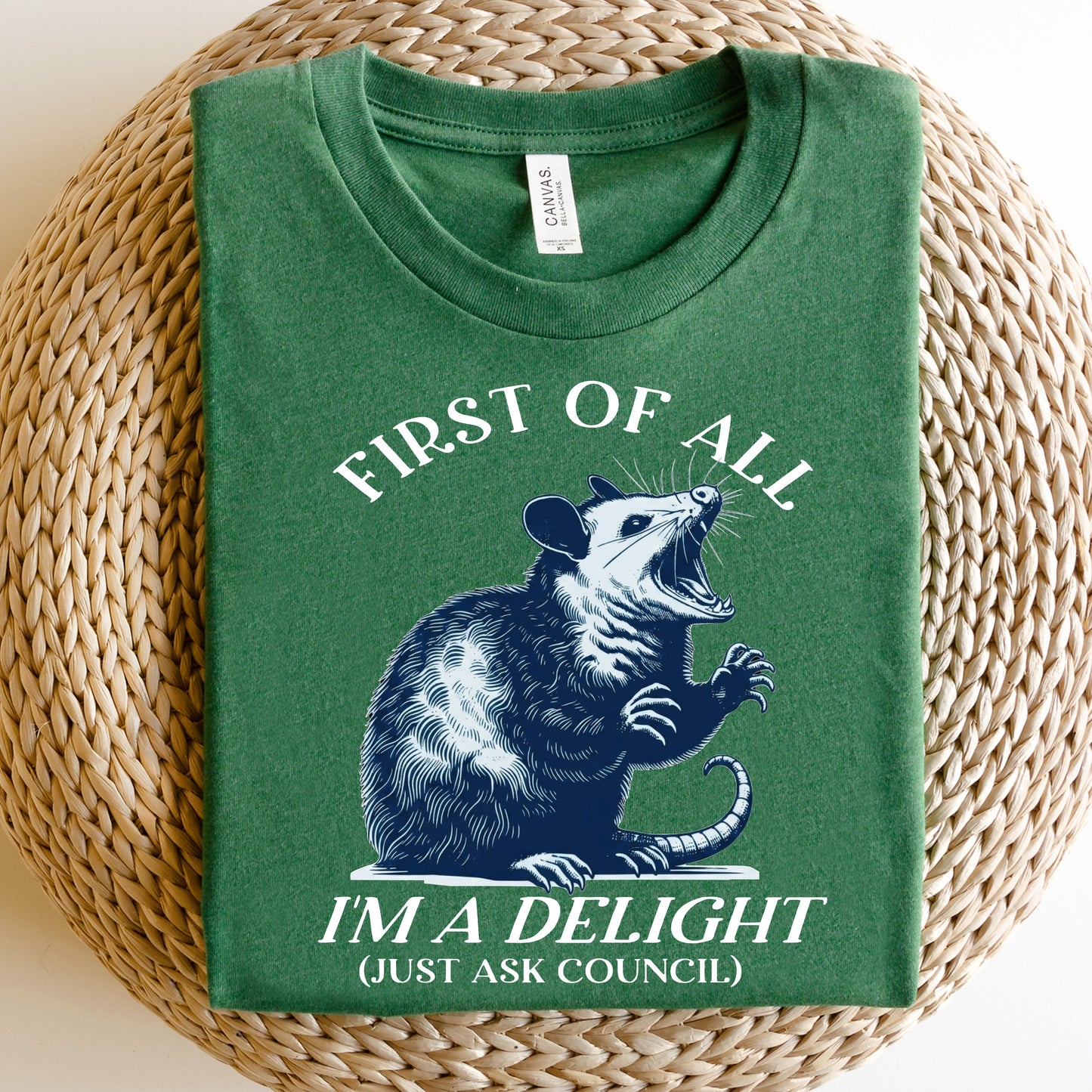 Delightful Opossum DTF Print