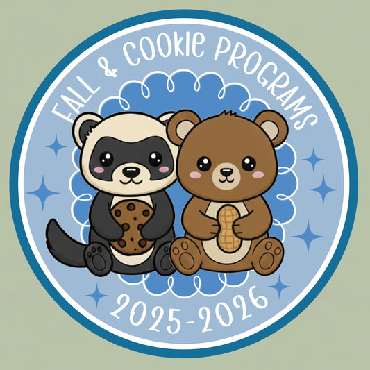 Program Patch