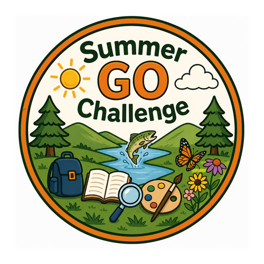 Summer Go Challenge Patch