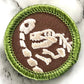 Paleontology